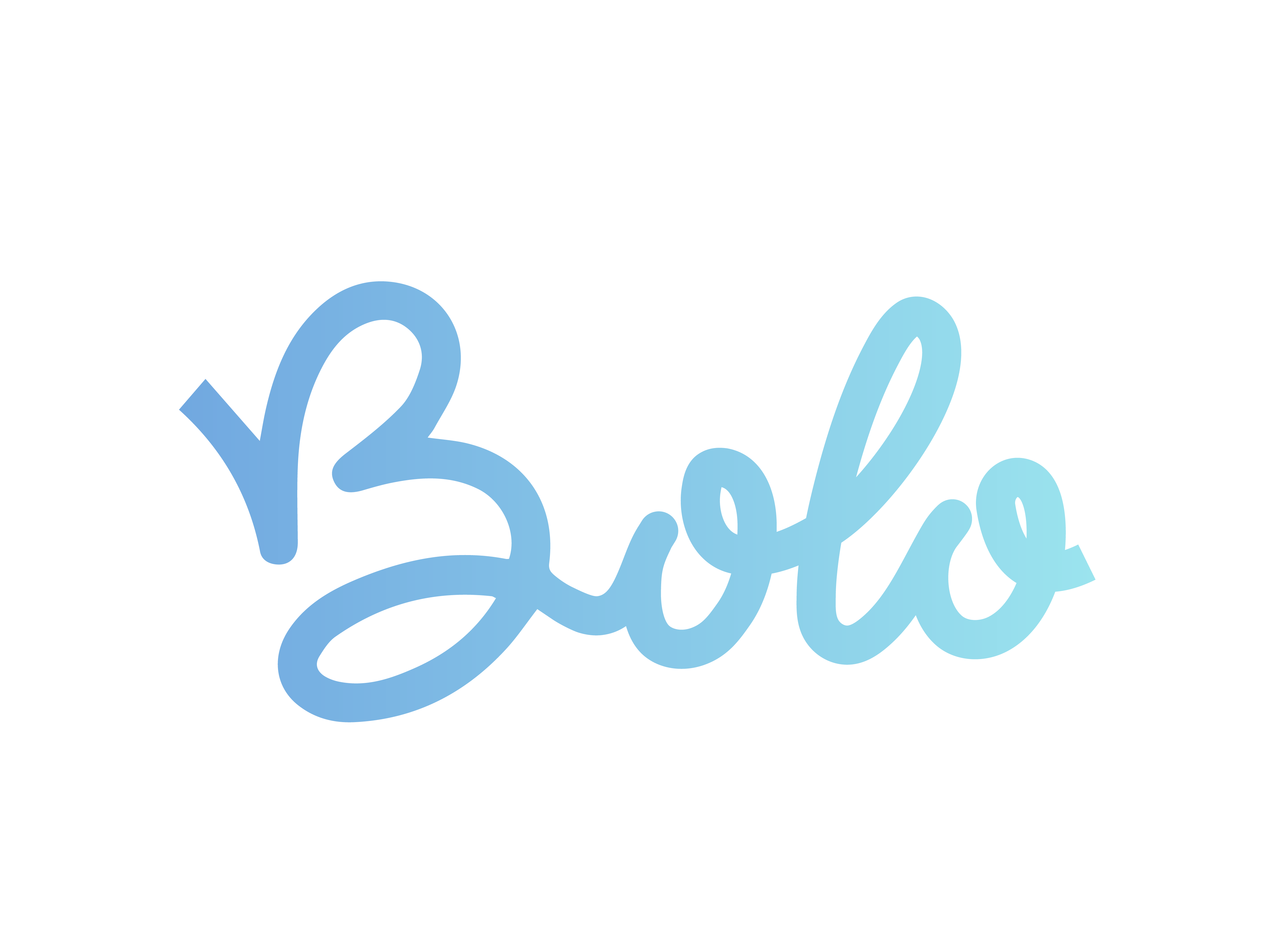 Bolo